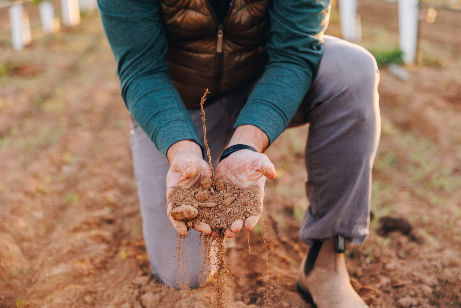 What Rutherford Dust Really Means